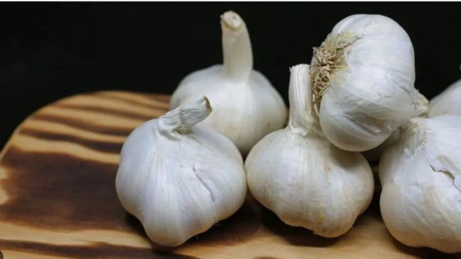 Garlic