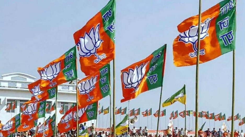 Bjp Flag