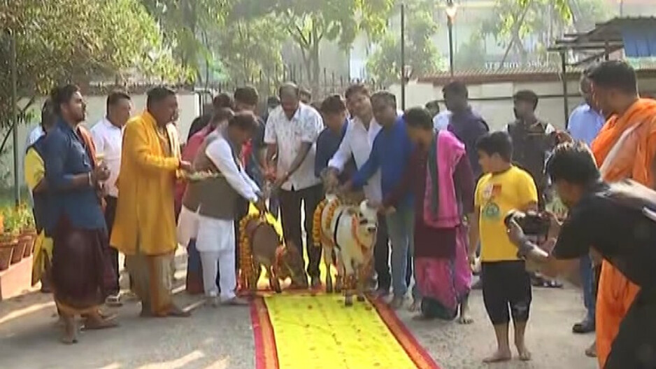 Cow puja