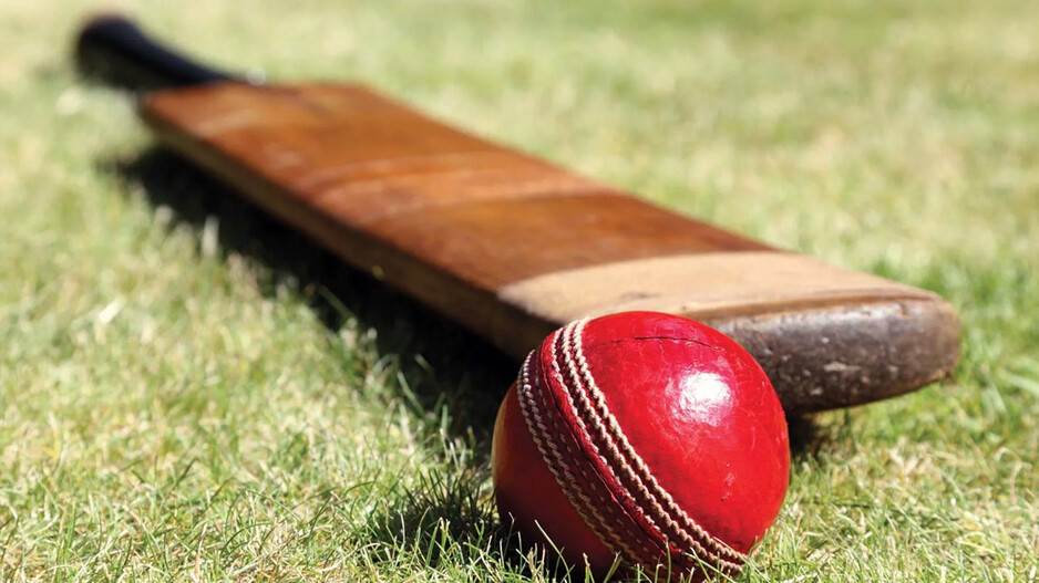 Cricket