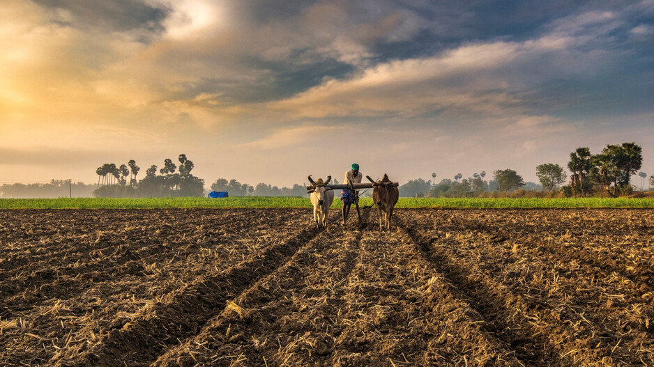 ଦରମା ବଢ଼ିବ, ଦର ବଢ଼ିବ, ଖର୍ଚ୍ଚ ବଢ଼ିବ- ଚାଷୀର ଫାଇଦା କ’ଣ?