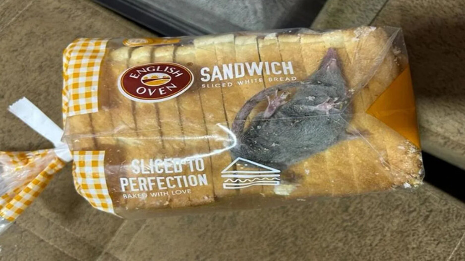 Rat inside bread