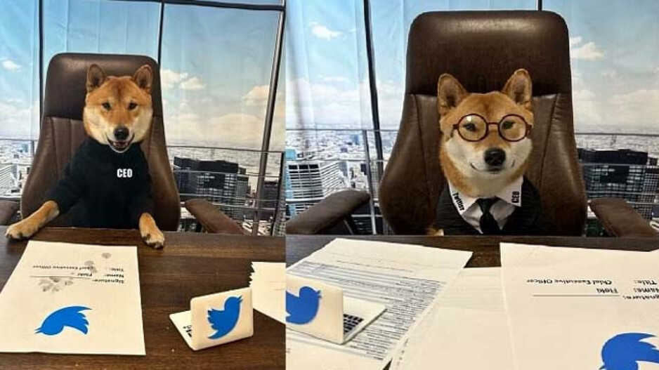 Twitter New CEO