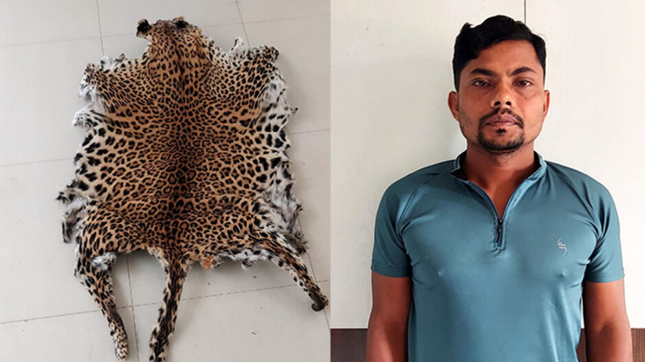 Tiger Skin and the accused
