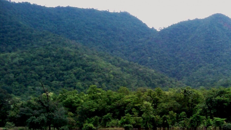 Gandhamardan hills