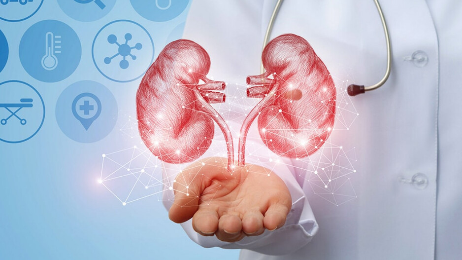 Doctor Showning Kidney Image