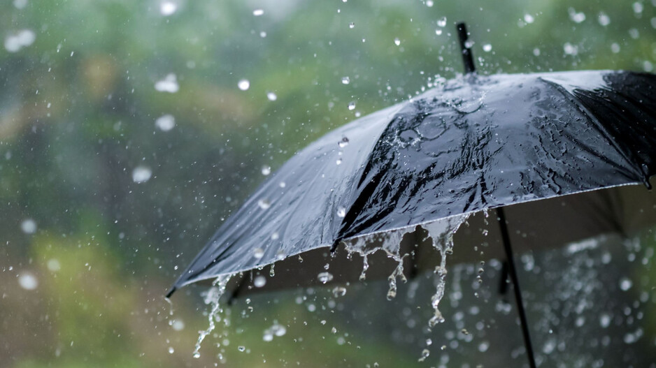 Rain water and Umbrella 