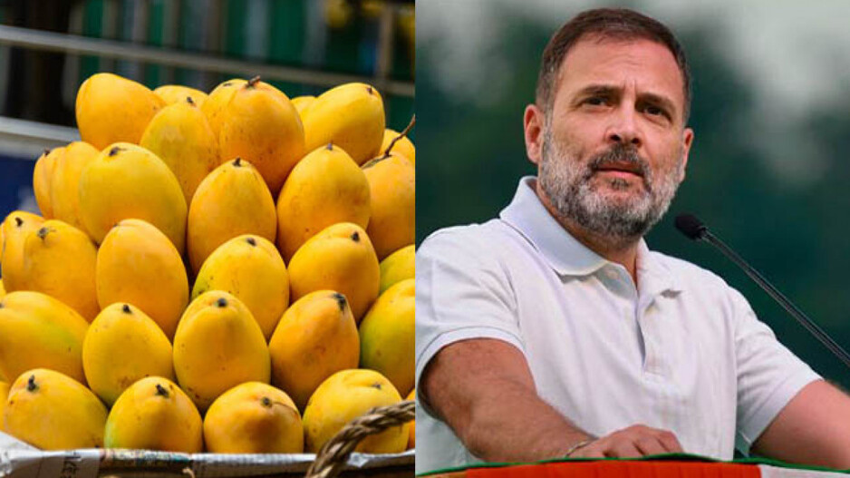 Rahul Gandhi and Mango