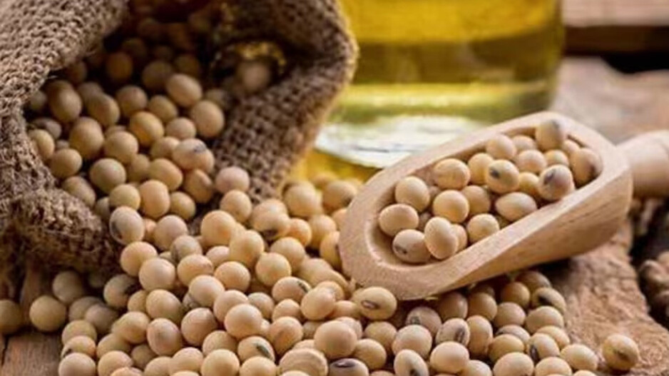 soybean procurement