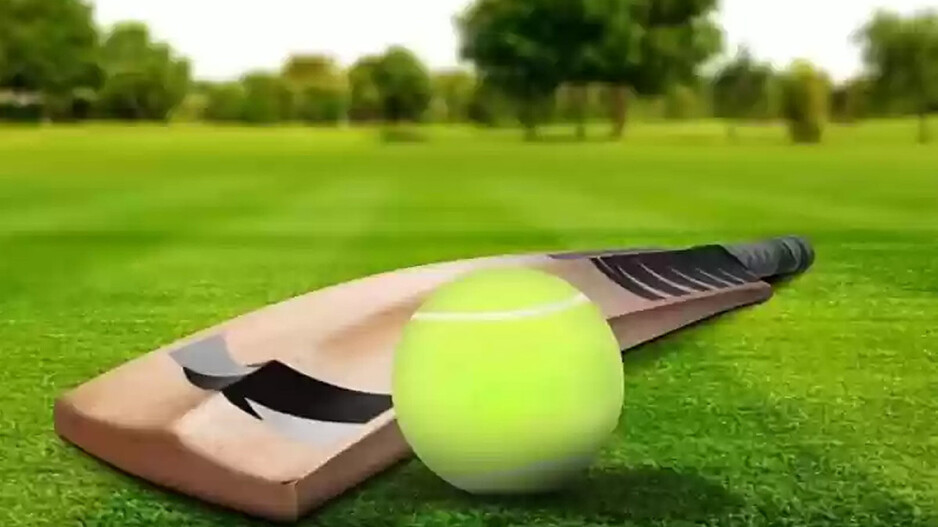 Senior Tennis Ball Cricket