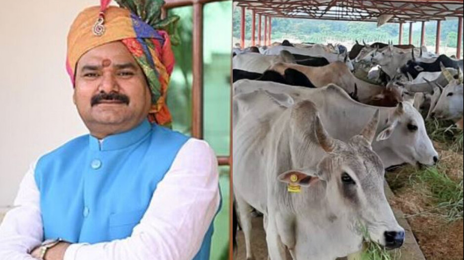 Sanjay Singh Sangwar & Cow 