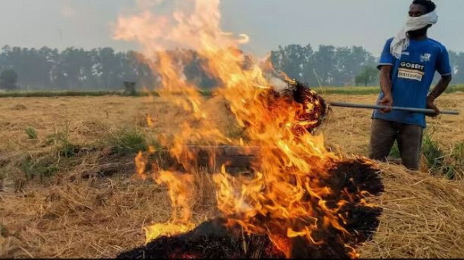 Stubble Burning