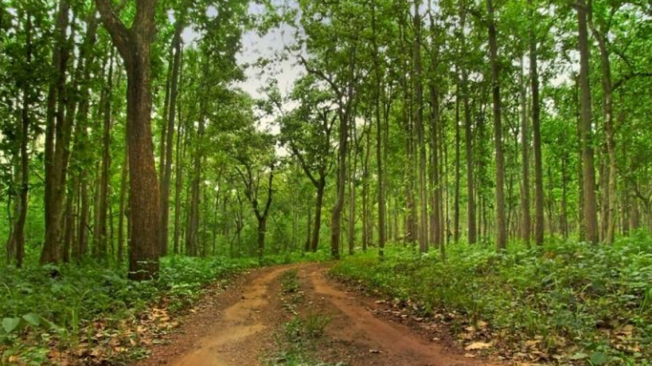 Similipal National Park