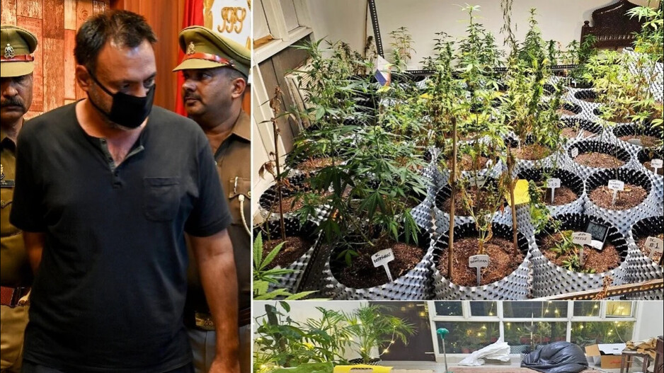 Rahu Chaudhury and Ganja Tree