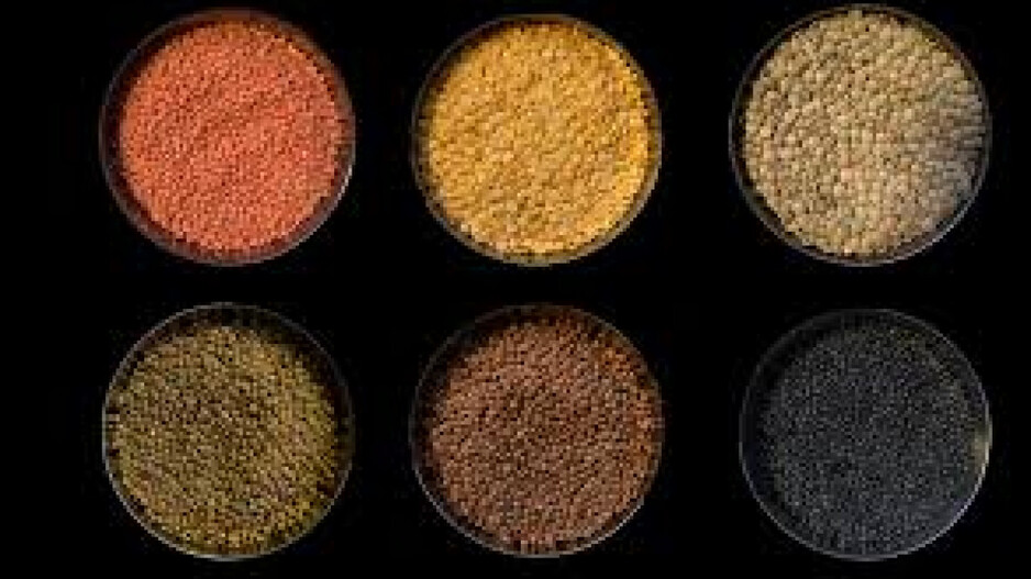 Variety Of Dals
