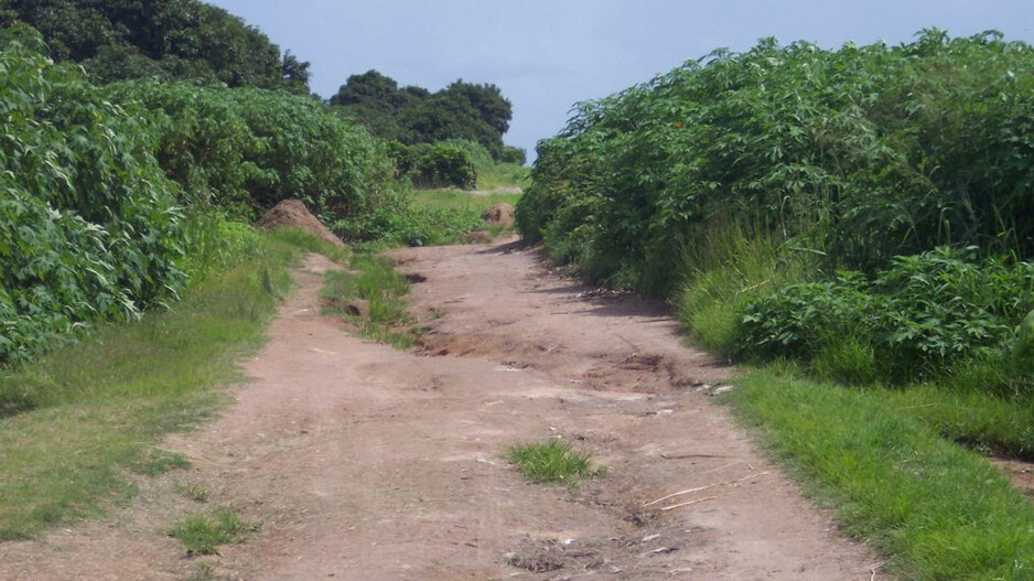 ବିକଶିତ ଗାଁ ବିକଶିତ ଓଡ଼ିଶା’ ଯୋଜନା: ବାଧକ ସାଜିଛନ୍ତି ଅଫିସର, ୮ମାସ ବିତିଲା ଦେଉନାହାନ୍ତି ତଥ୍ୟ