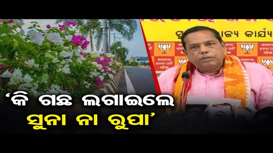 'ଗୋଟିଏ ଗଛର ଦାମ୍‌ 12 ହଜାର ଟଙ୍କା'