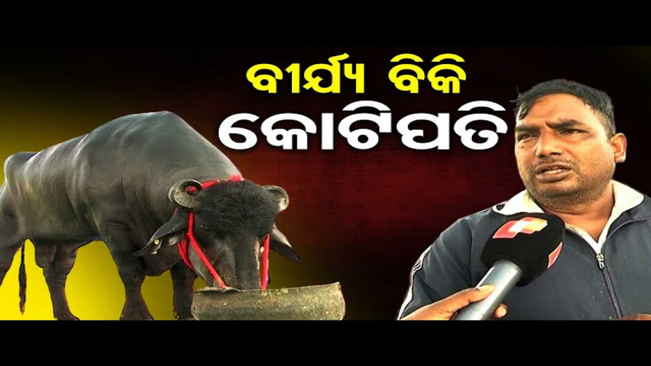 ପ୍ରତିଦିନ ମଇଁଷି ଖାଉଛି ୫୦୦୦ ଟଙ୍କାର ଖାଦ୍ୟ
