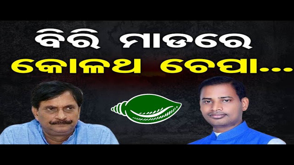 ବିରି ମାଡ଼ ଦେଖି କୋଳଥ ଚେପା !