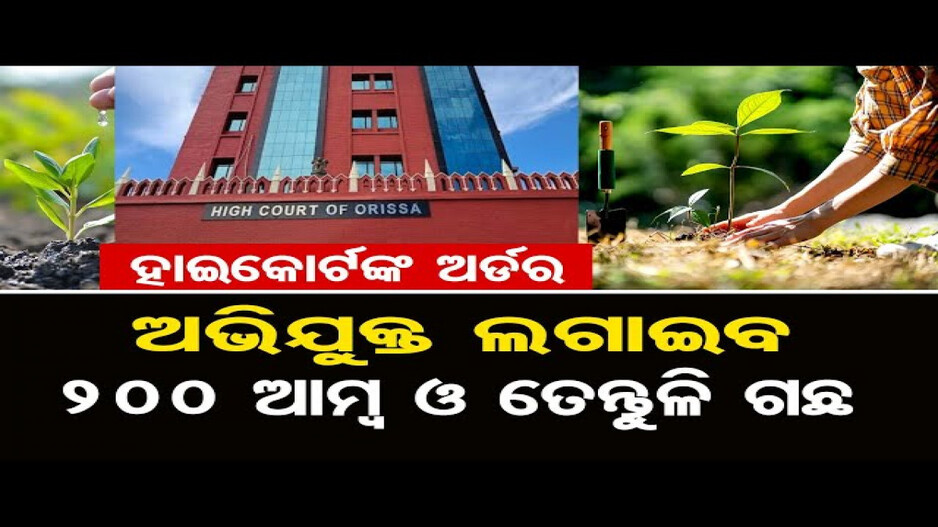 ହାଇକୋର୍ଟଙ୍କ ଅର୍ଡର, ଅଭିଯୁକ୍ତ ଲଗାଇବ 200 ଆମ୍ବ ଓ ତେନ୍ତୁଳି ଗଛ