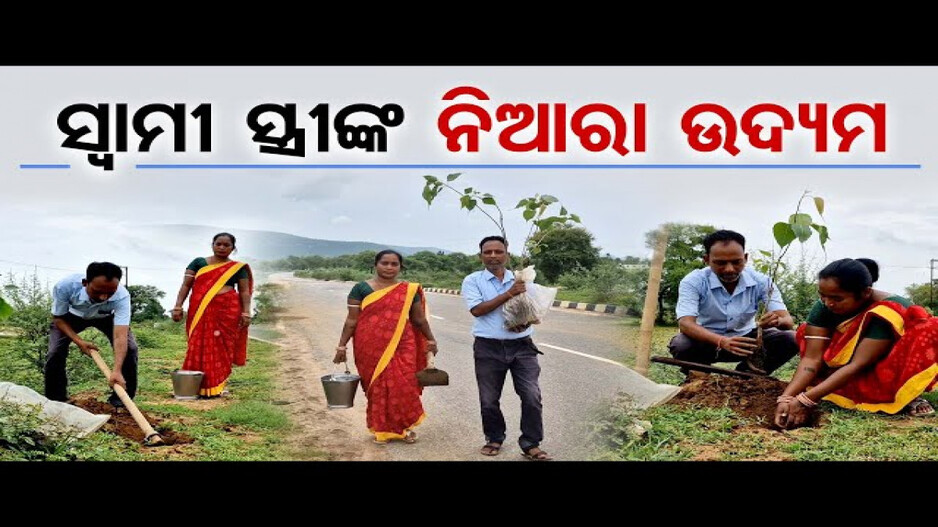 ଦମ୍ପତ୍ତିଙ୍କ ନିଆରା ଉଦ୍ୟମ: ନିଜସ୍ୱ ଉଦ୍ୟମରେ ରାସ୍ତା ପାର୍ଶ୍ୱରେ ଚାରା ରୋପଣ କରୁଛନ୍ତି