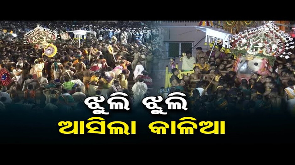 ଝୁଲି ଝୁଲି ଆସିଲେ କାଳିଆ ସାଆନ୍ତ