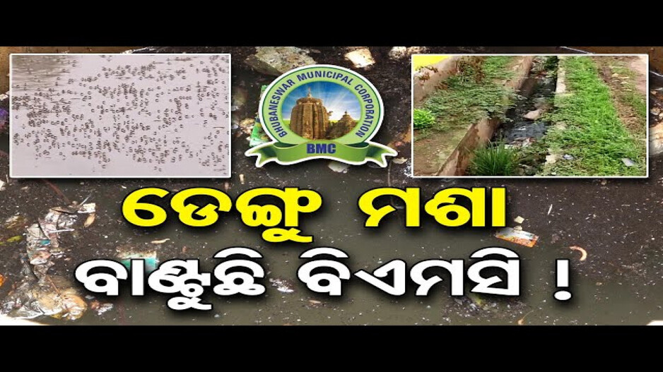 ରାଜଧାନୀରେ ଡେଣା ମେଲାଉଛି ଡେଙ୍ଗୁ !