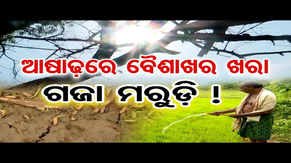 ଆଷାଢରେ ବୈଶାଖର ଖରା, ଗଜା ମରୁଡି !