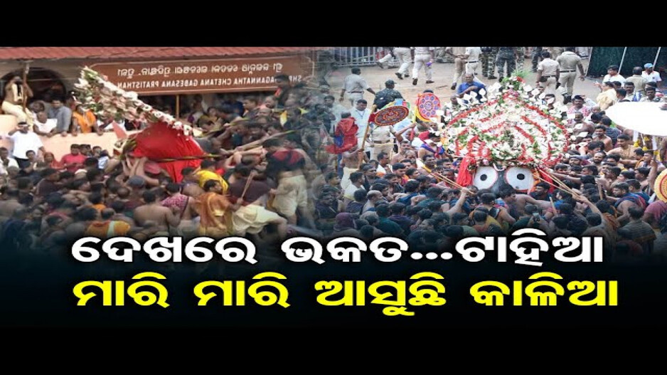 ଝୁଲି ଝୁଲି ପହଣ୍ଡିରେ ଆସୁଛନ୍ତି କାଳିଆ ସାଆନ୍ତ