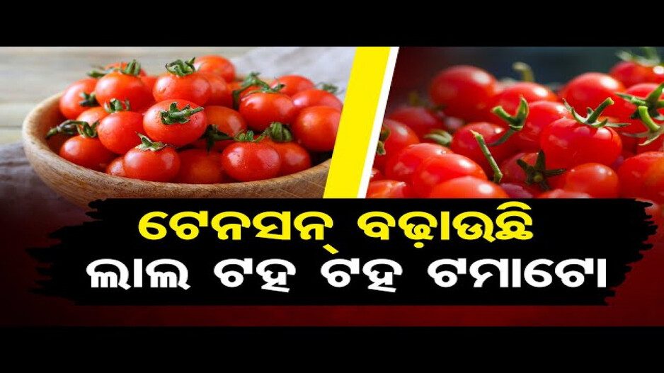 ଟେନସନ୍ ବଢ଼ାଉଛି ଲାଲ ଟହ ଟହ ଟମାଟୋ