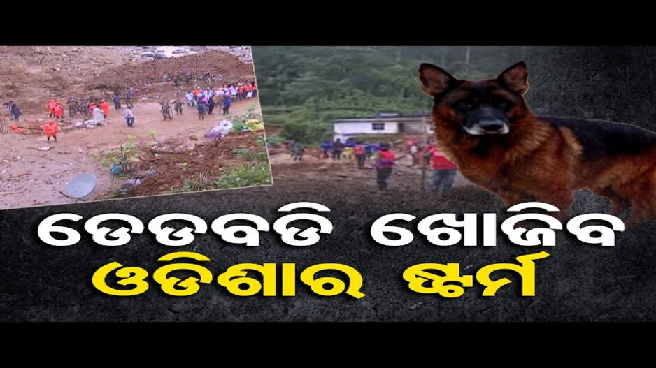 କେରଳରେ ରେସ୍କ୍ୟୁ କରିବ ଓଡ଼ିଶାର ସନ୍ଧାନୀ କୁକୁର 'ଷ୍ଟର୍ମ'