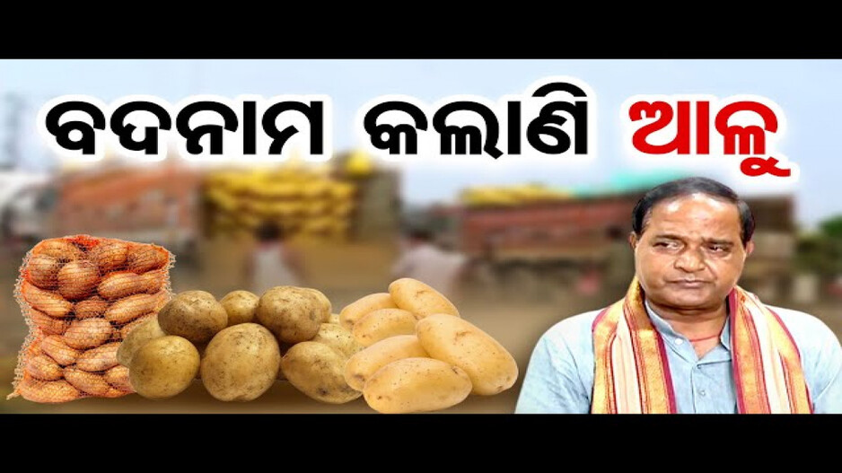 ରାଜ୍ୟରେ ଜାରି ରହିଛି ଆଳୁ ସଂକଟ