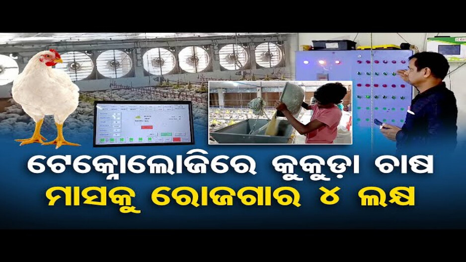 କୁକୁଡ଼ା ଚାଷ କରି ଲକ୍ଷପତି