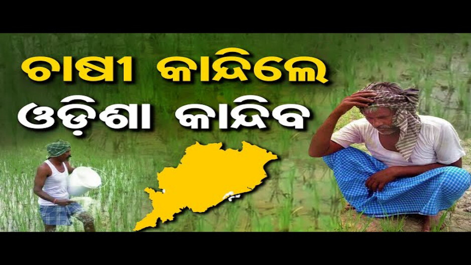 ଚଢ଼ା ଦରରେ ବିକ୍ରି ହେଉଛି ସାର, ଚିନ୍ତାରେ ବରଗଡ଼ ଚାଷୀ