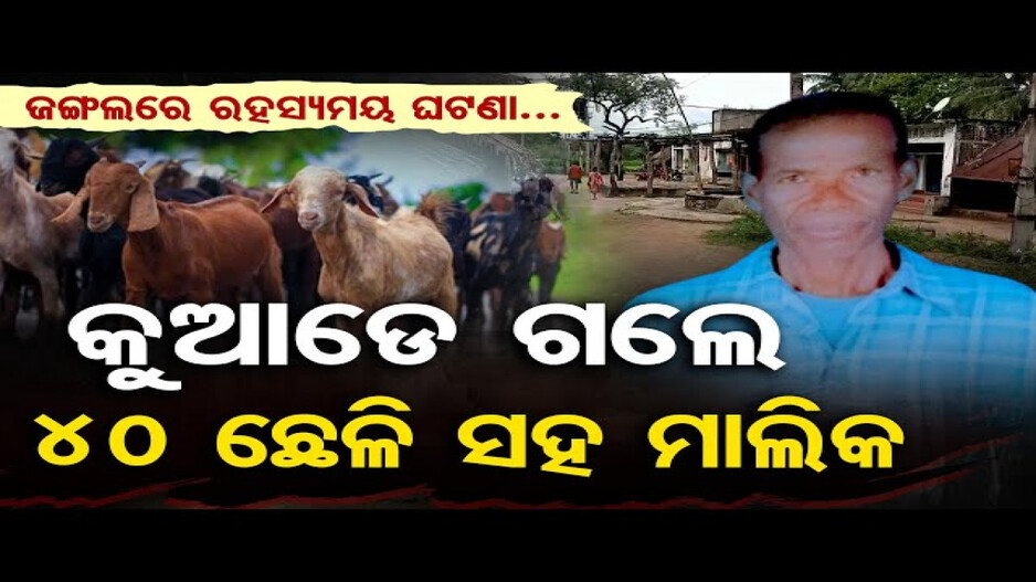 କୁଆଡେ ଗଲେ ୪୦ ଛେଳି ସହ ମାଲିକ ? ୨ ଦିନ ହେଲା ମିଳୁନି ପତ୍ତା