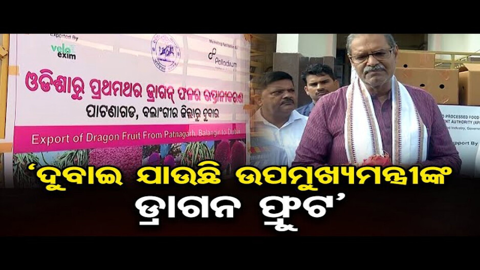 ଦୁବାଇ ଗଲା ଓଡ଼ିଶାର ଡ୍ରାଗନ୍ ଫଳ