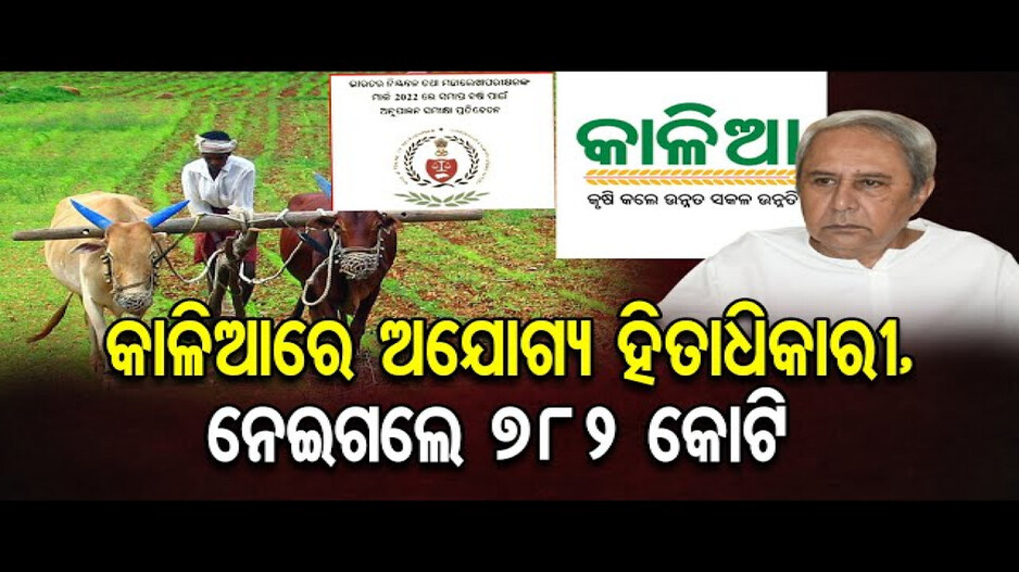 ଅଯୋଗ୍ୟ କାଳିଆ ହିତାଧିକାରୀ ନେଇଗଲେ ୭୮୨ କୋଟି