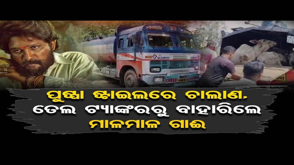 ପୁଷ୍ପା ଷ୍ଟାଇଲରେ ହେଉଥିଲା ଗୋରୁ ଚାଲାଣ, ମାଡ଼ି ବସିଲା ପୁଲିସ