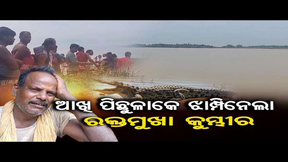 ଆଖି ପିଛୁଳାକେ ଝାମ୍ପିନେଲା କୁମ୍ଭୀର