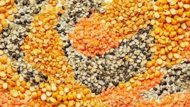 Dal