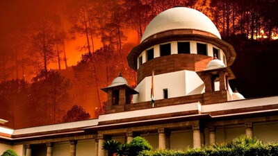 Supreme Court On Forest Fire