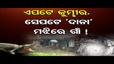 ଏପଟେ କୁମ୍ଭୀର, ସେପଟେ ‘ଦାନା’ ମଝିରେ ଗାଁ ! ||Cyclone Dana Update ||Cyclone Alert ||Cyclone Landfall ||OR