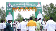 BJD