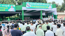 BJD