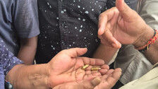 Bullet Bullet