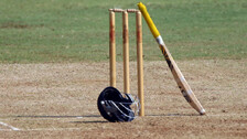 Cricket