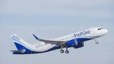 Indigo international flights