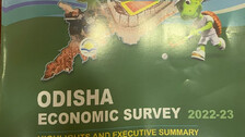 Economic Survey Report