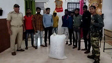8 Including 5 College Students Arrested