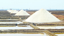 Salt Farming